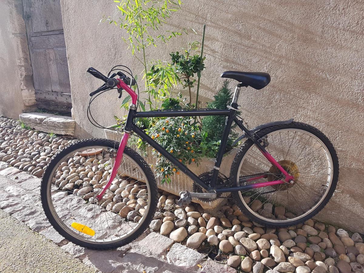 Tournus Castrum Romain - Duplex 54 M2 - 3 Etoiles - Petit Box Velo - 5Mn Autoroute מראה חיצוני תמונה